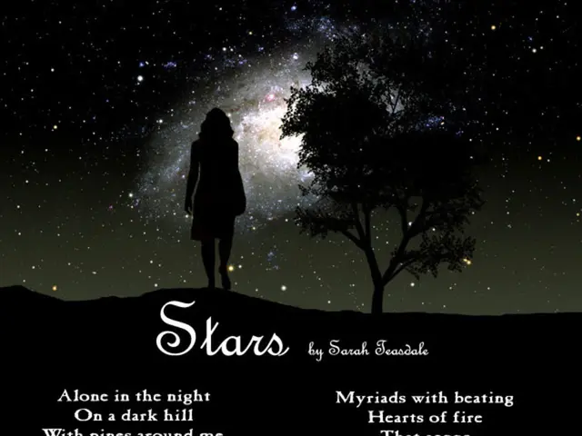 Docupoetry: A blend of documentary and poetry, presenting stories in a creative, narrative format.