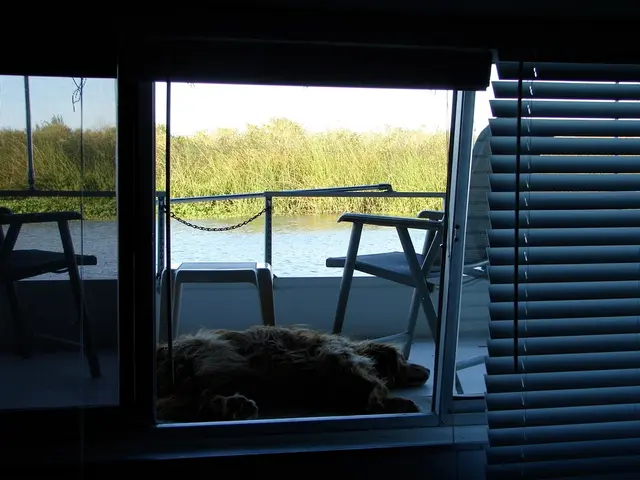 Discussion: Local Naturalist Tony Brown's Passion for Fungi Unveiled