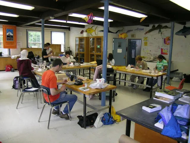 Story of the Time Turner - Potential Solution for the Overburdened Student at Holy Cross?