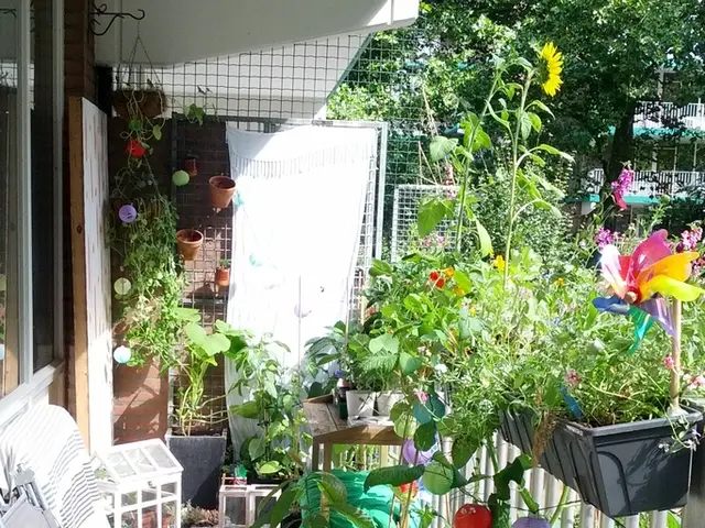 Enclosed Garden Elevated by Raised Windows