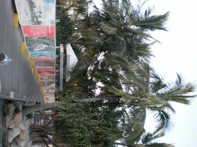 Enjoying a hiking adventure this summer? Secure a 50% discount on AllTrails+ today and unlock...