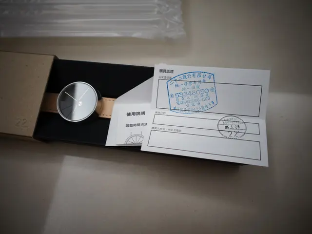 A Passionate Watch Collector Recommends the Essential $45 Dive Watch as a Must-Purchase