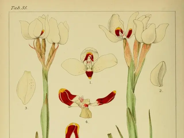 Garden-Protecting Greenery: 7 Flora Species That Deter Pests and Bugs