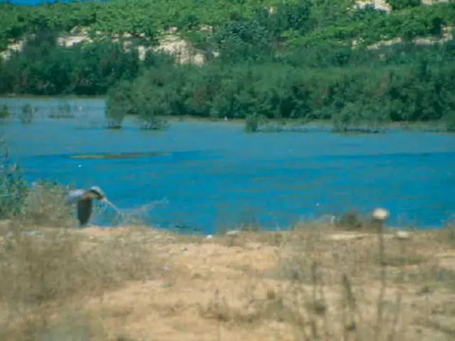 Advantages of Using Water Butts and Rain Barrels for Eco-Friendly Gardening: Importance for a Green...