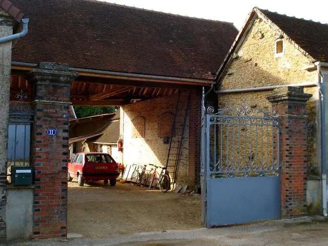 Self-Repair Strategies Adopted by Thrifty Individuals: Fixing Things Before Outsourcing Expenses