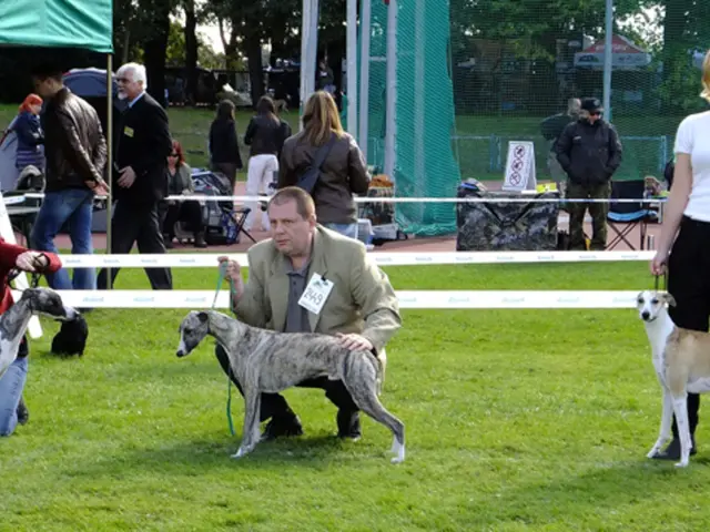 Gathered Around the Hearth - Vibrant Hues