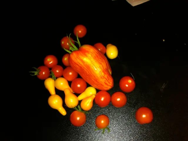 Tasks for February Fruit and Vegetable Maintenance