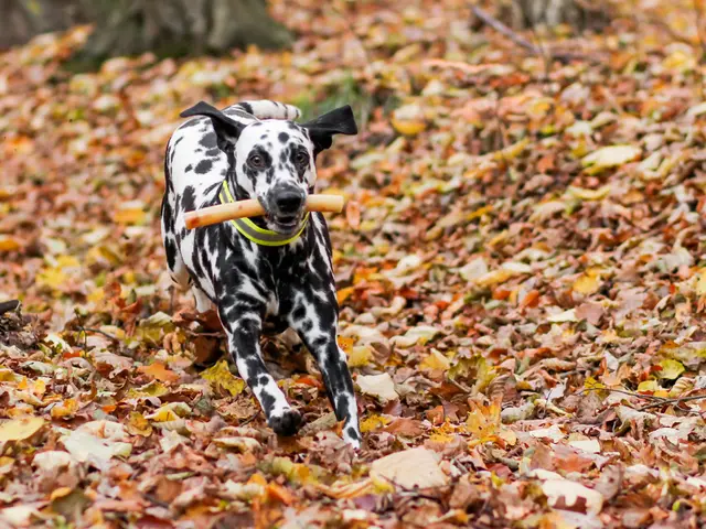 Navigating through Quietude: Insights Gleaned from the Leisurely Days of Summer's Peak