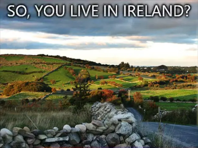 Preparing Your Home for Bushfire Season: 7 Essential Tasks to Keep in Mind