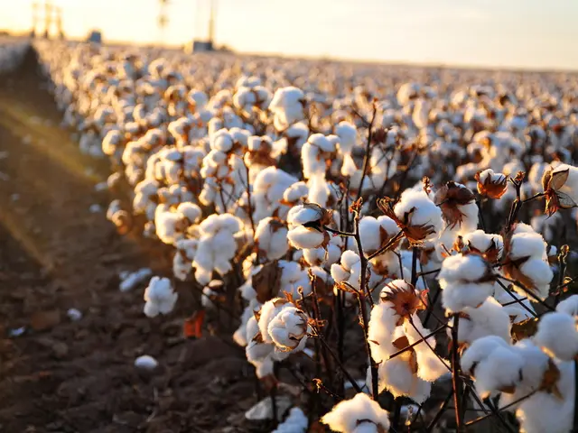 Is it Essential for Linen to be Organic?