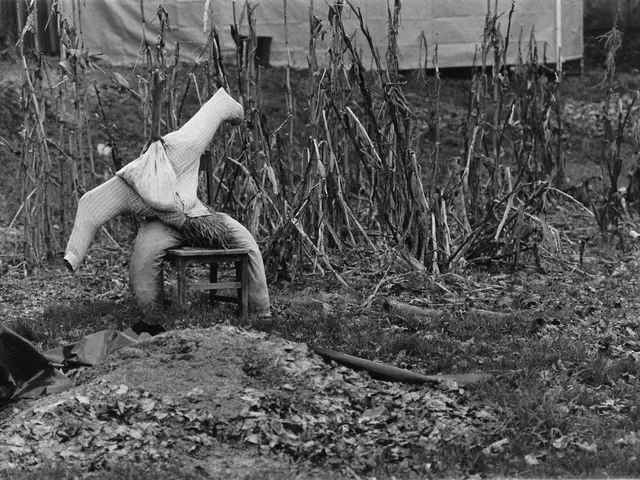 Garden-Protecting Strategies: repelling techniques for keeping woodchucks away