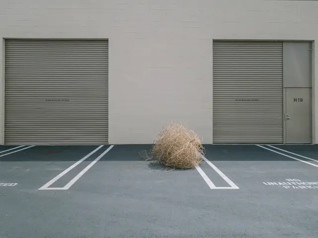 Raise Your Digital Existence with the Power of Rapid Online Connectivity