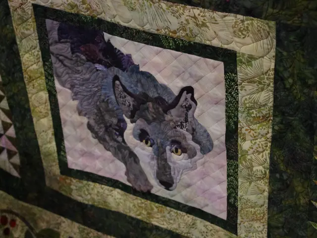 Cleaning Fuzzy Crocs: 2 Strategies for Spotless Shoes