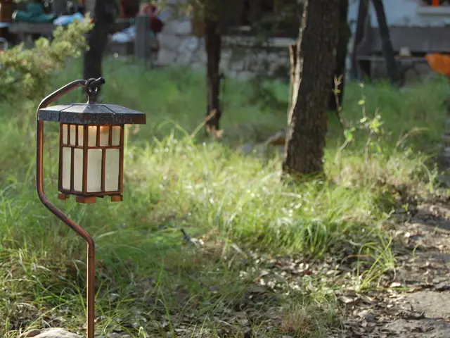 Perform these garden tasks in August to ensure the flower bed and vegetable patch remain fruitful