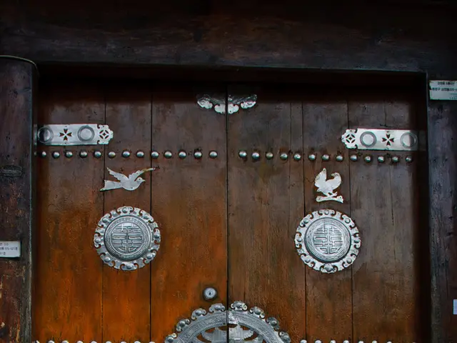 Defend Your Home: Strategies to Stop Termites from Wreaking Havoc on Your Doors