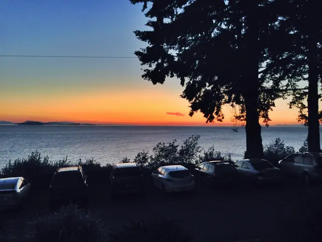 Initiative to cool down Lisbon temperatures