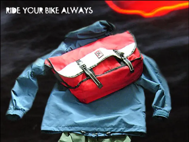 Record-breaking discounts on top-rated jackets, shorts, and various other items during Patagonia's...