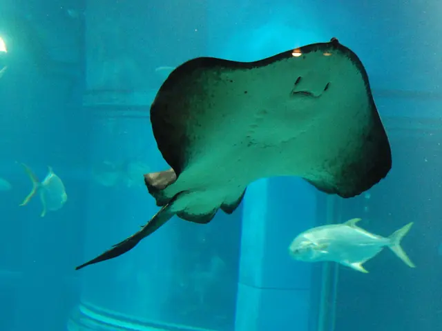 Genetic Matching Tool for Different Animal Types