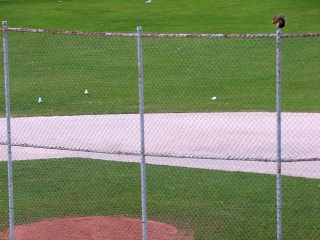 Strategies for Preventing Squirrels from Nibbling on Your Tulip Roots