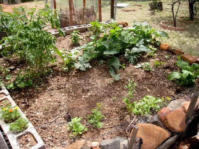 Frequency of Soil Replacements for Plants: Regular Updates Matter