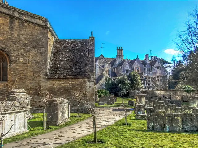 Tenant's Guide to Maintaining a Blooming Green Space in a Leased Property