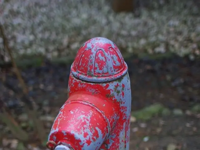 Modern Solution for Clogged Drains: Pipe Relining as a Contemporary Repair Method