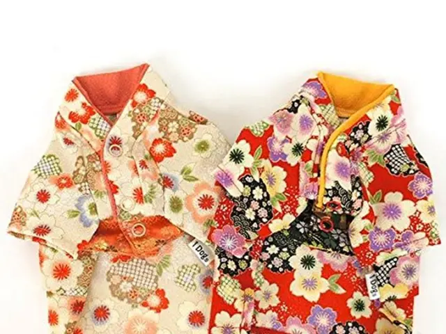 Charlotte Hawkins donned a Boden sale dress, emphasizing the importance of color contrast in...