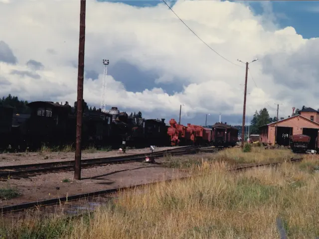 Region's Summer Break Highlights: No-Cost Activities to Enjoy