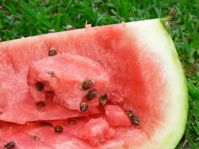 Guide to Nurturing Watermelons for Juicy Fruits Throughout the Summer Season