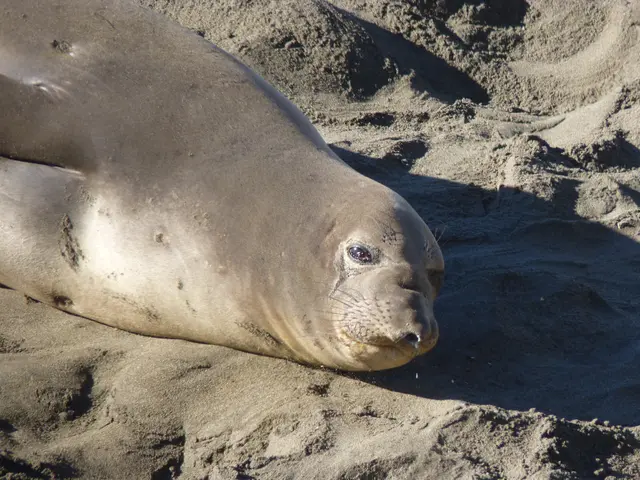 Sealing Driveways: Steering Clear of Regular Blunders