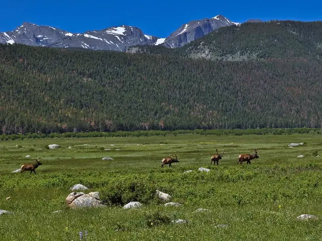 "Exploring the Disconnect: A Photographer Delves into Humans' Detachment from Nature's Reality"