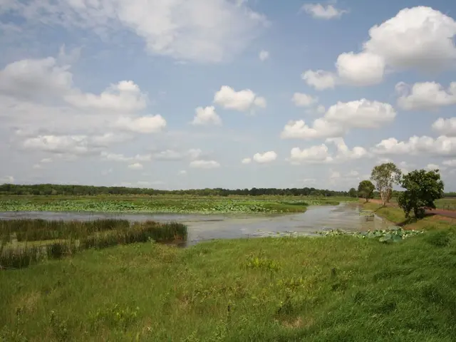 "River City" (a rephrased version)