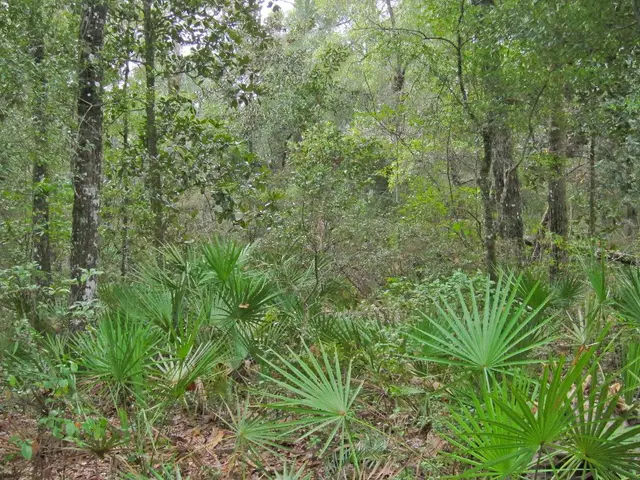 Outdoor Experiments Encouraging Scientific Curiosity for Young Learners in the Field of Nature