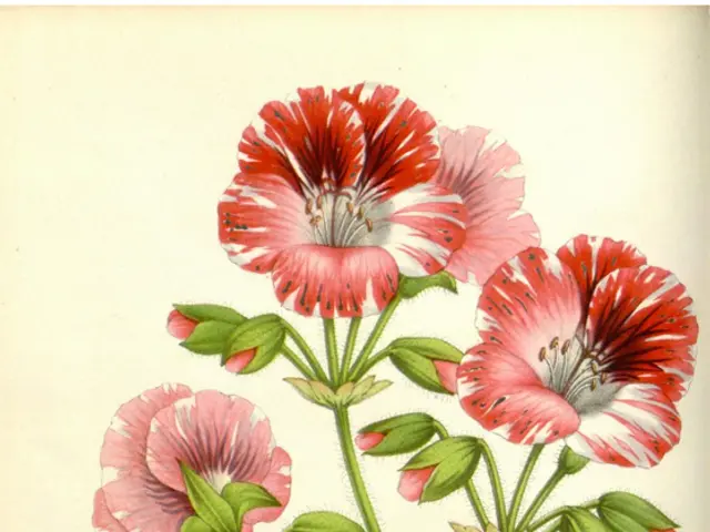 Make Flamboyant Flamingo Decoration for Valentine's Day