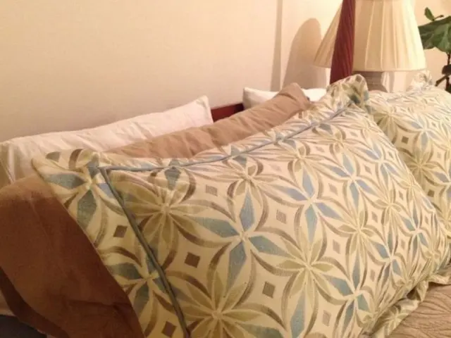 Drew Barrymore's $25 accent pillow in burnt orange perplexedly clarified the popularity surrounding...