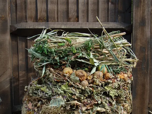 Prolong Autumn Fruit and Vegetable Yield with Dehydration Techniques