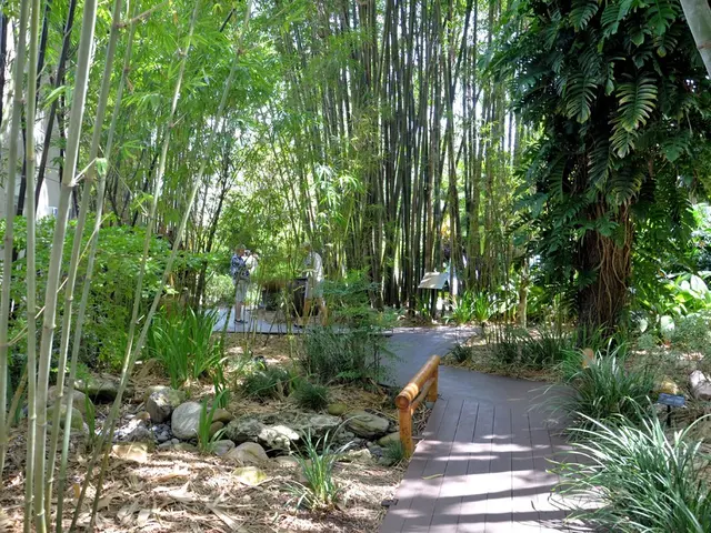 Dallara constructs a park that is citizen-centric, developed, and implemented by them