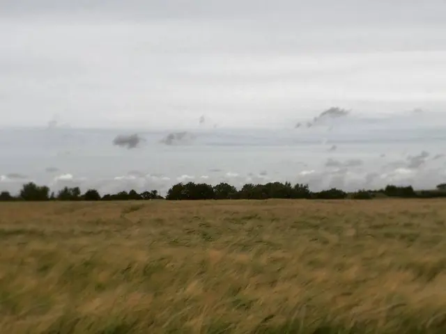 Gardening expert issues alert on the overlooked 'drought' that could affect us this summer season