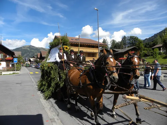 Nursing home in Köfering: Johannis hospice pays a visit to Lydia's Donkey Sanctuary at Eselhof
