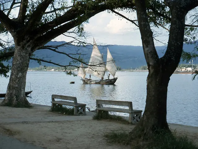 Unveiled Secret Revealed: A Puzzling Revelation Uncovered along the Baltic Coastline