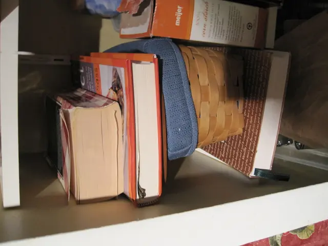 Affordable Organizing Solution Sworn by JoAnna Garcia Swisher: Transform Your Home into a...