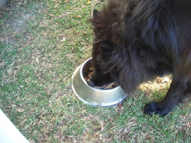 Angry Kazakhstan residents over fatal dog incident in Almaty leisure zone