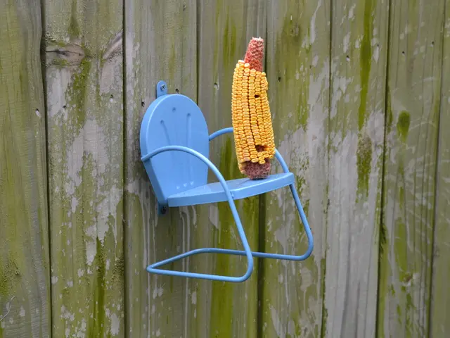 Spreading flour across the garden and collecting the scattered bits afterwards.