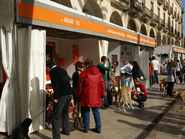 Adopted Pet: Canine #16, Available in Lübeck Animal Welfare Shelter