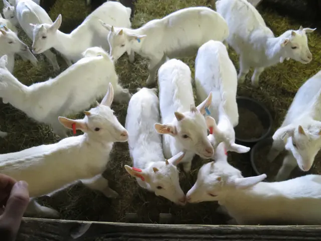 Celebrating a Notable Birthday at ZIEGElei with ZieglindeFirst