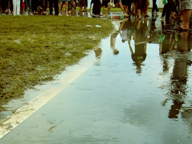 The Amazon listing for LifeStraw Peak Series water filters is nearing its all-time low price