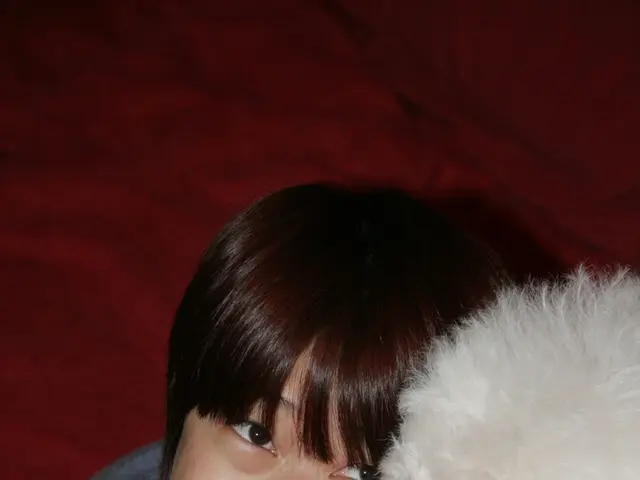 Emotional Tale of Keeping Pets as Companions