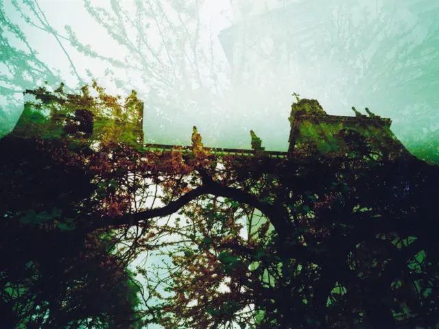 Gathering of Bridge Constructors in the Seaside Park