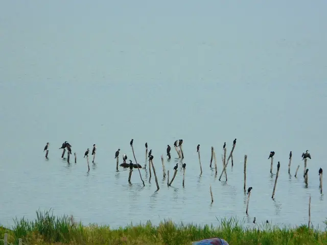 Farewell to Art Lander's Outdoors: A 53-year chronicle of Kentucky's natural beauty comes to an end