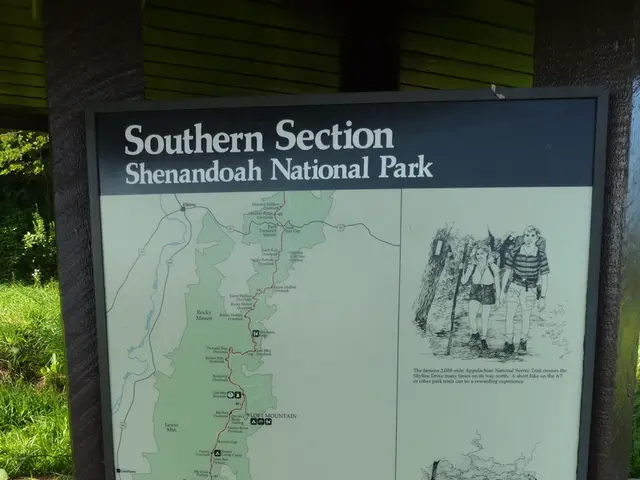 Discover some incredibly charming inhabitants in Mario Kart 8 Deluxe!